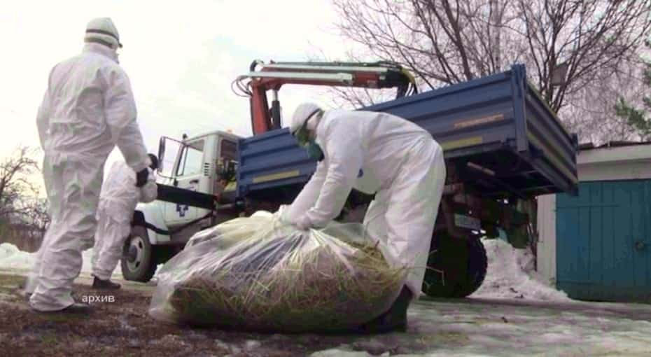 Республикала яңы мал ҡәберлектәрен булдырыу тыйыла