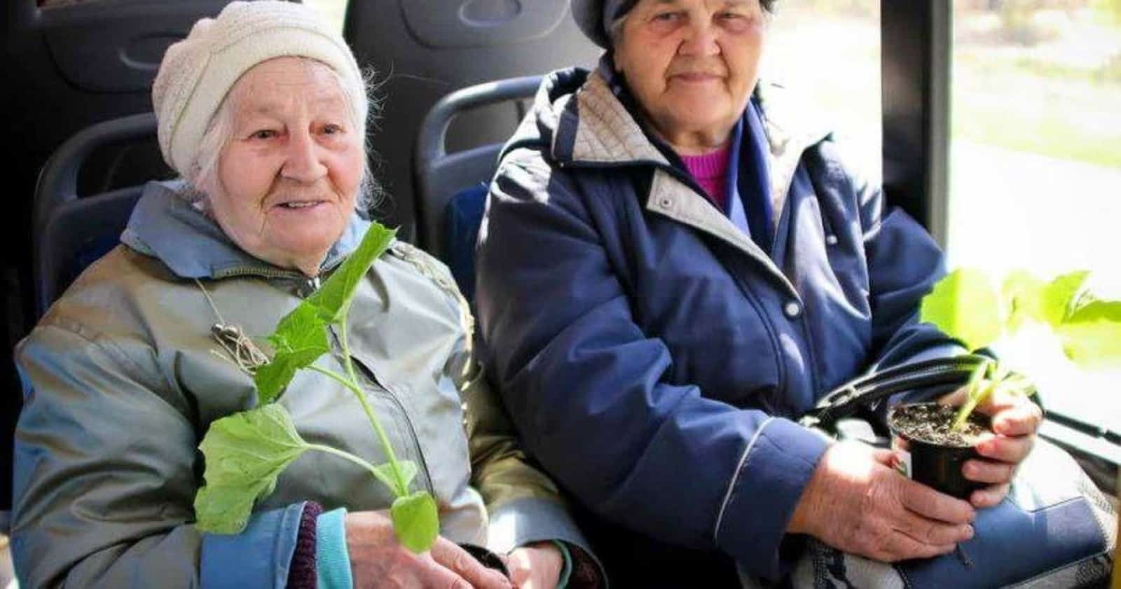 Автобустар баҡсаларға  йөрөй башлай