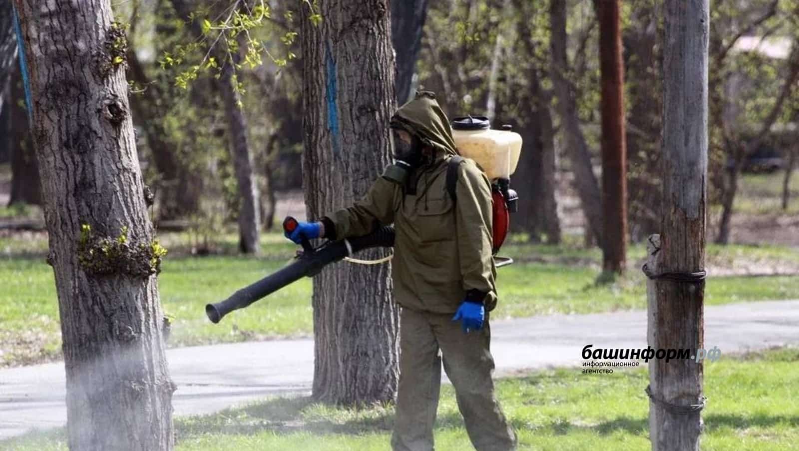 Өфөлә бөтә парк һәм скверҙар талпандан эшкәртелгән