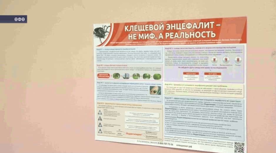 Һаҡ булығыҙ, талпан һөжүм итә!