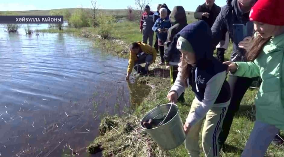 Хәйбулла районындағы Таналыҡ һыуһаҡлағысына төрлө тоҡомло тоннанан ашыу балыҡ ебәрелде