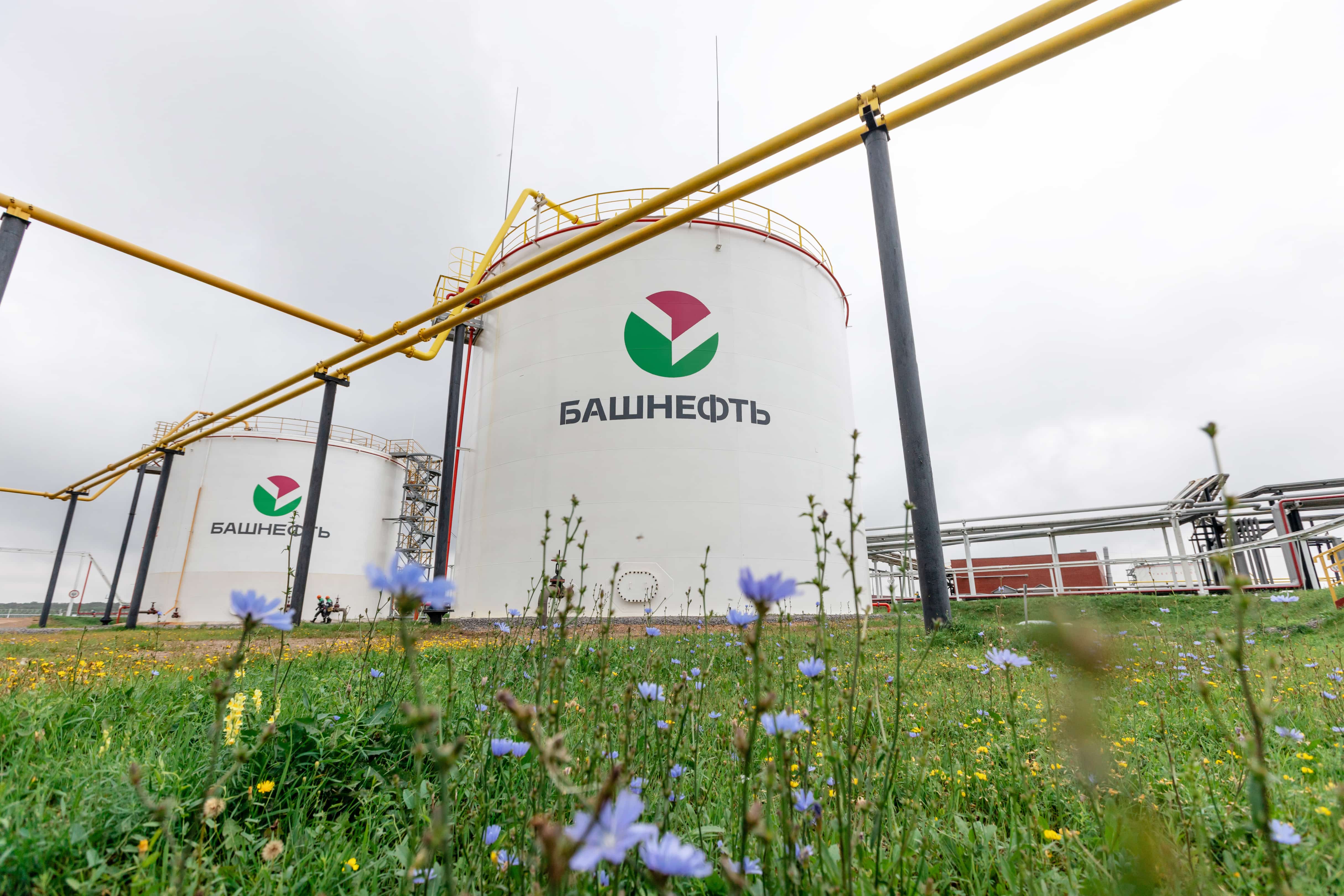 “Башнефть” ойошмаһы етештереү һөҙөмтәлеген арттыра