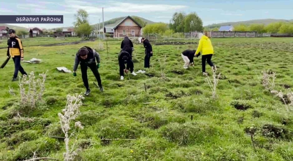 Әбйәлил районы Ташбулат ауыл халҡы экологик акция ойошторҙо