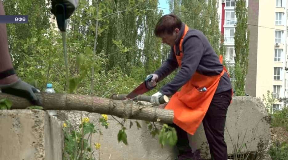 Баш ҡала лимонарийында «Еңеү майы» экологик-патриотик акция үтте