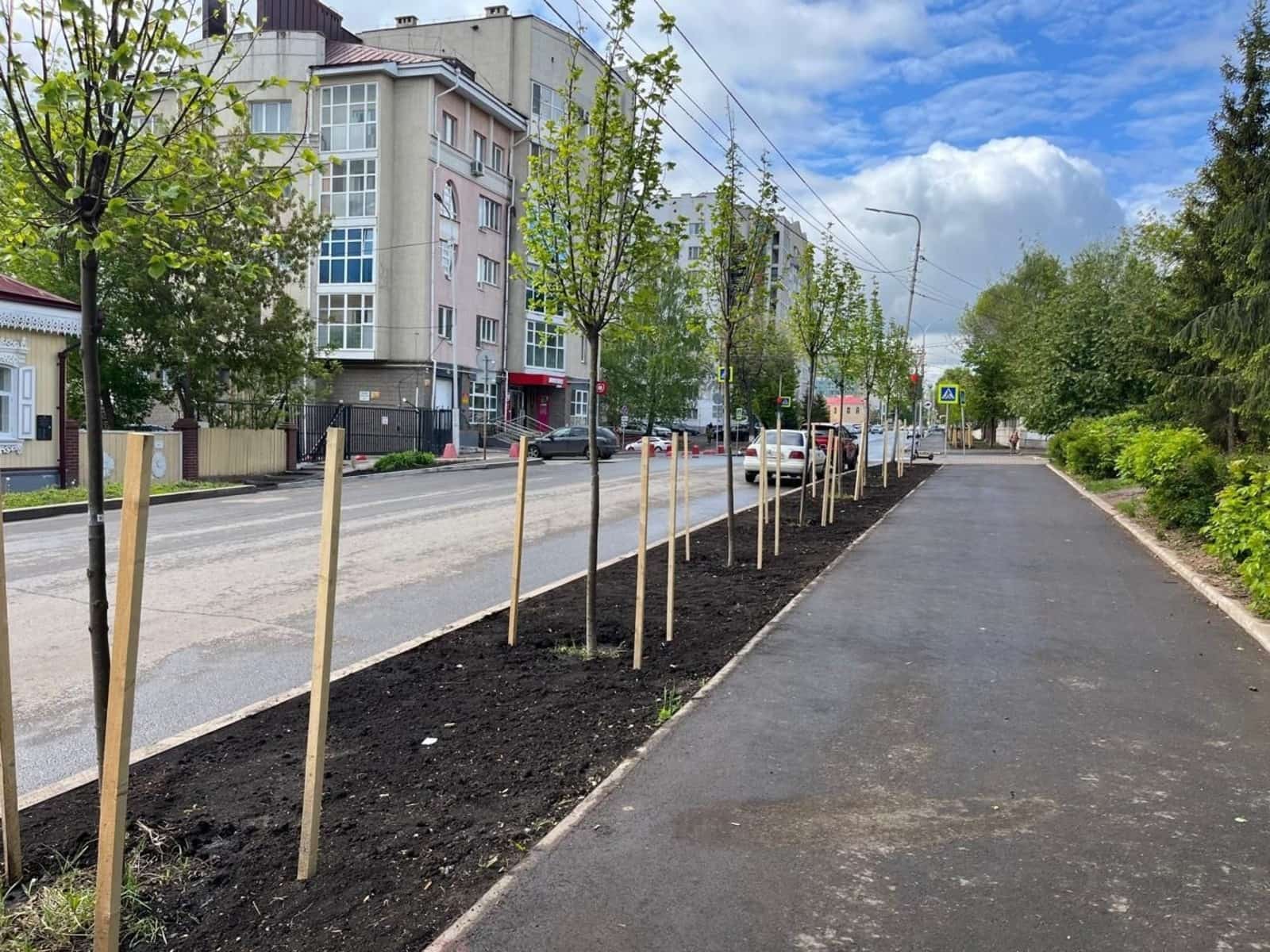 Өфөнөң Киров районында быйыл 200-гә яҡын йүкә ағасы ултыртыла