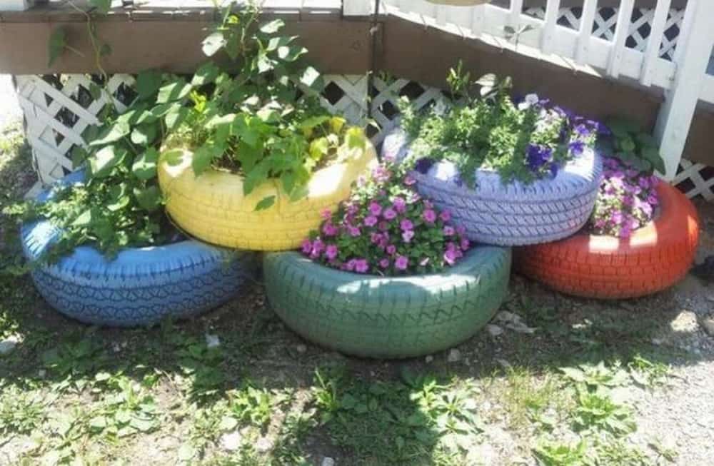 Түтәлдәрҙе машина тәгәрмәстәре менән биҙәү тыйыла