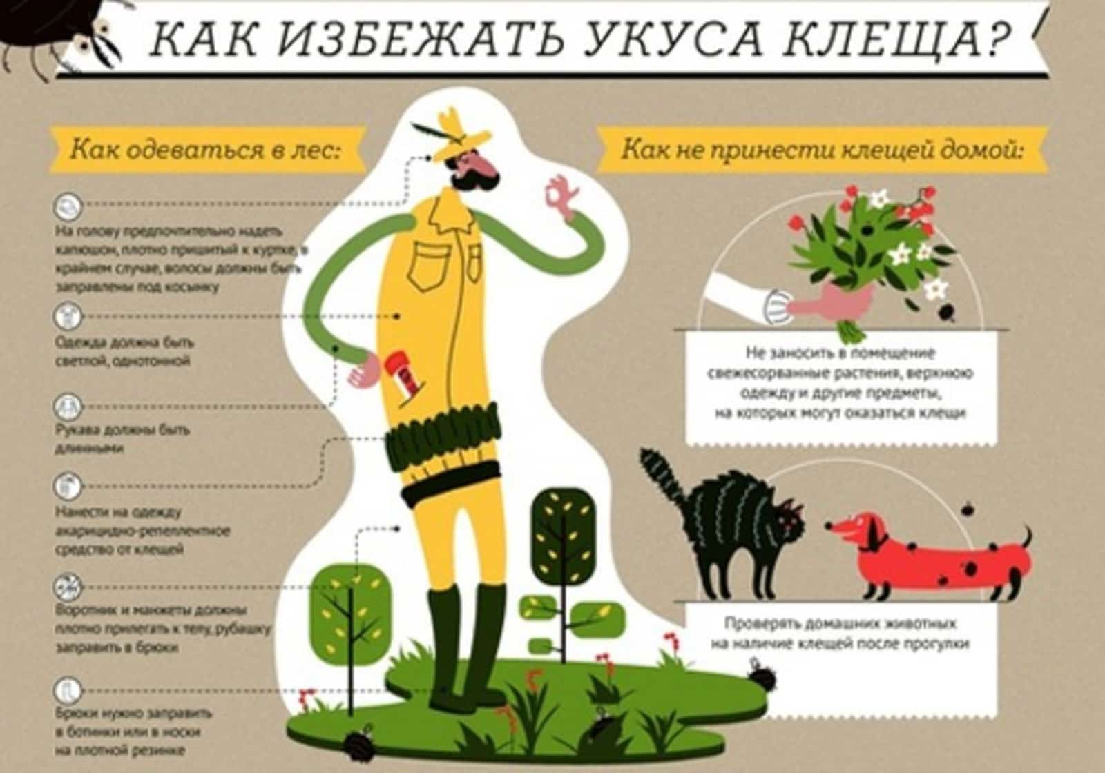 Талпандарҙан зыян күреүселәр арта
