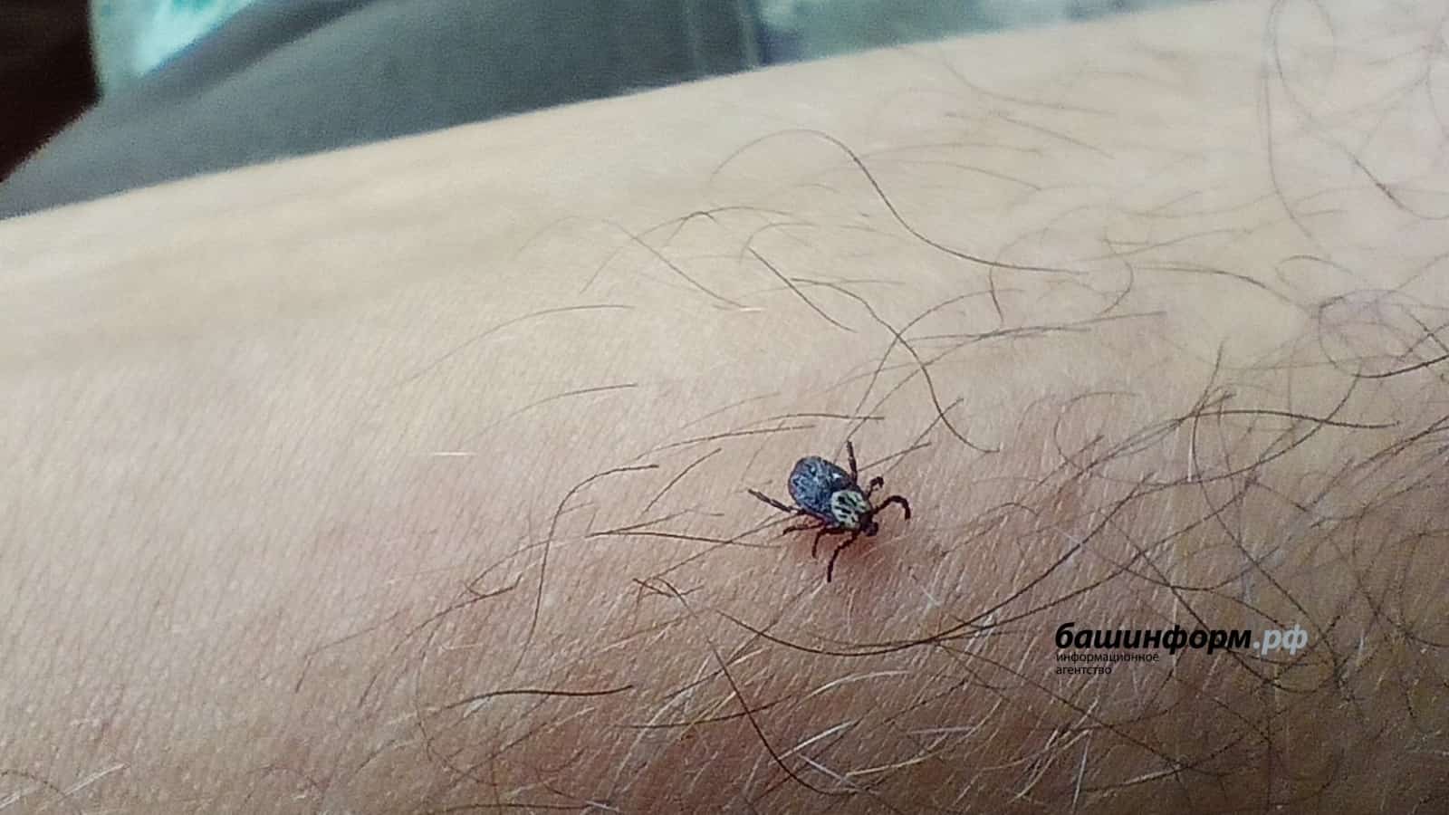 Республикала талпандан зыян күреүселәр артҡан