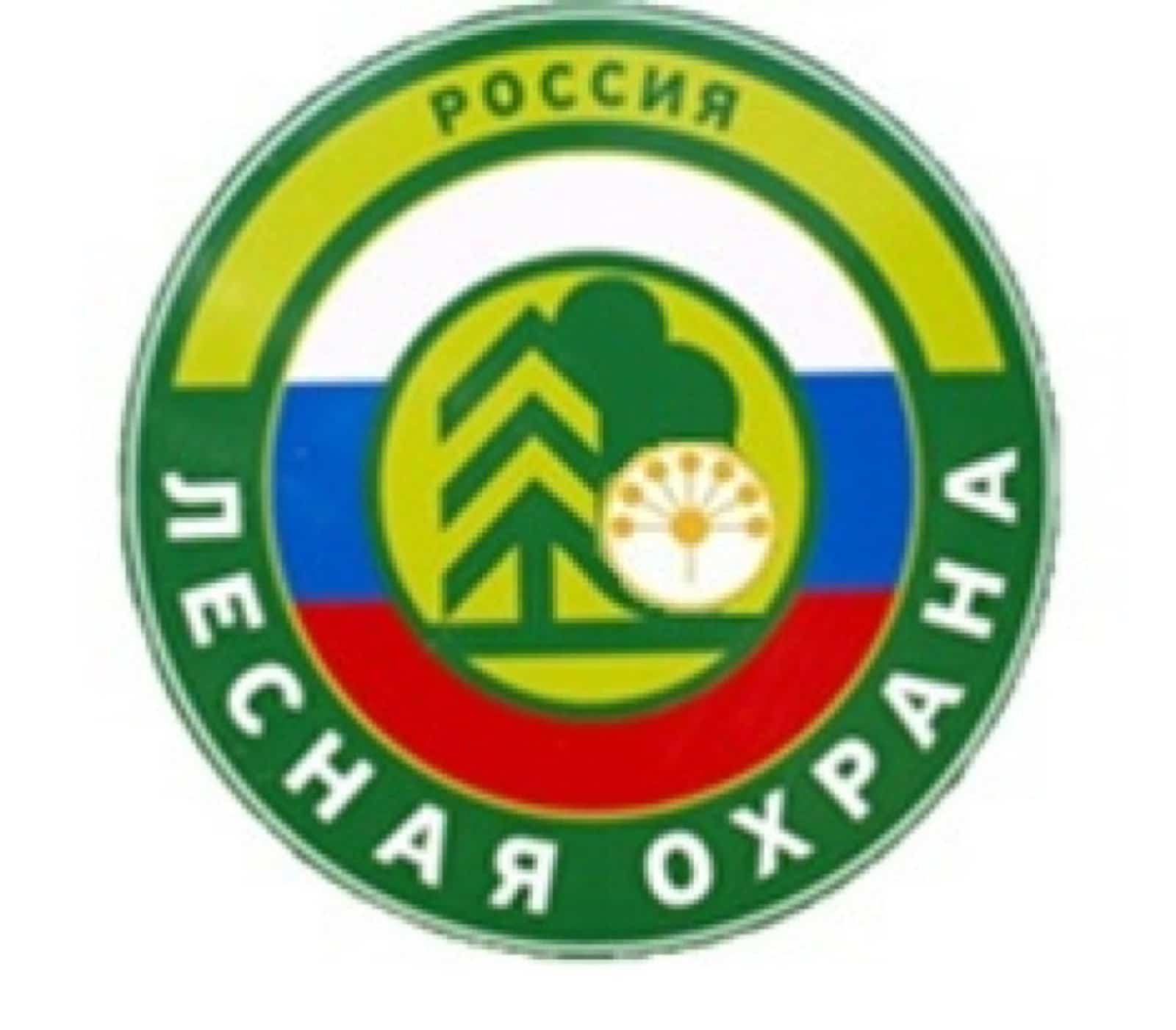 Башҡортостан урмандарында рейдтар уҙғарыла