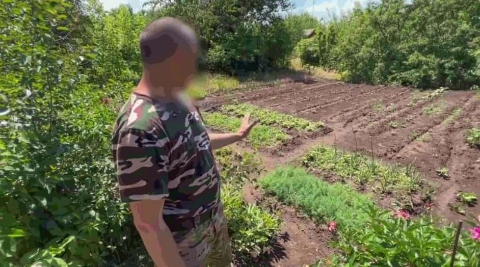 Башҡортостан яугирҙары махсус хәрби операция биләмәһендә йәшелсә үҫтерә