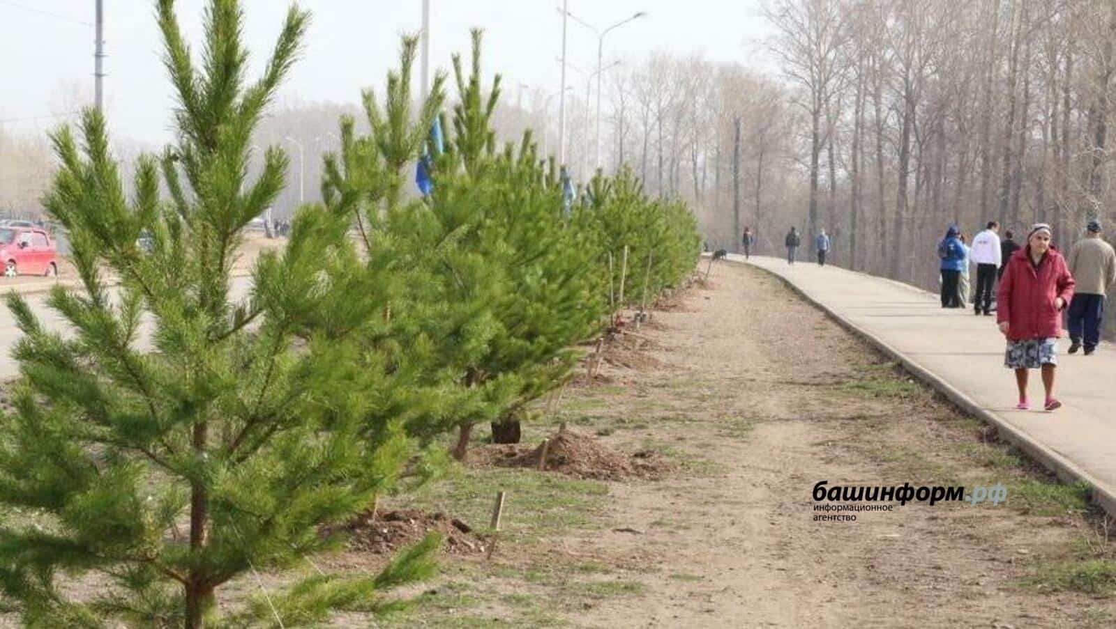 Башҡортостан “Хәтер баҡсаһы” акцияһында иң әүҙемдәр араһында