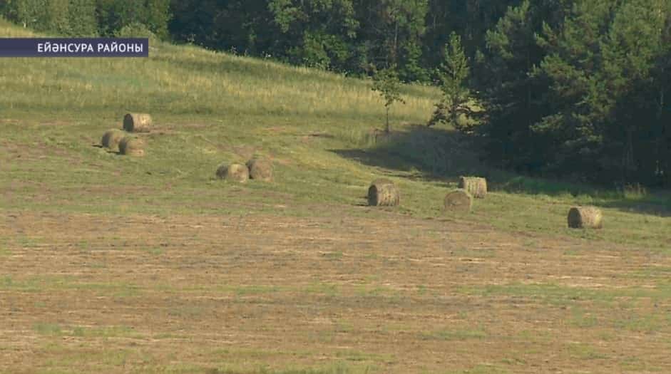 Республиканың 52 районы аграрийҙары бесәнгә төштө