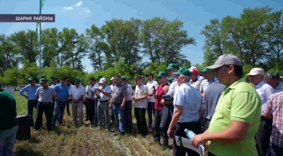Шаран районында «Баҫыу көнө» төбәк-семинар кәңәшмәһе үтте