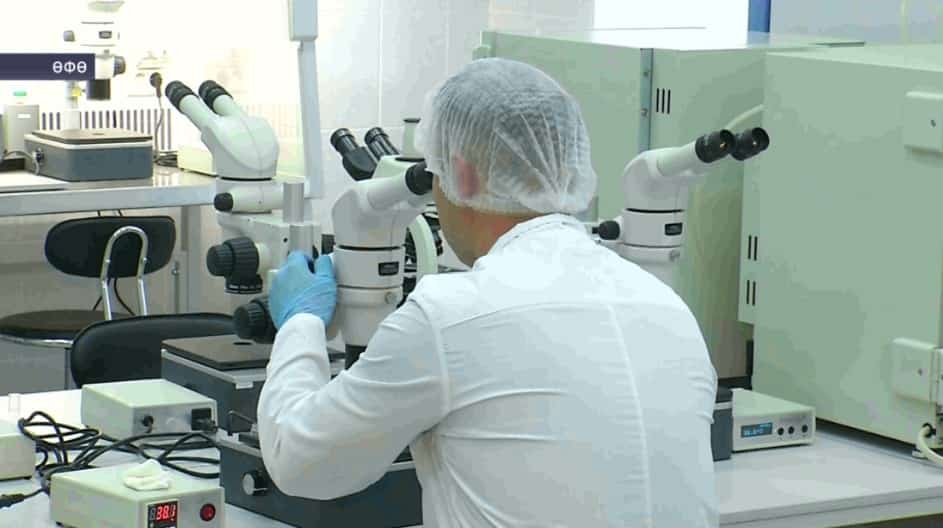 Башҡорт дәүләт аграр университеты белгестәре инкубаторҙарҙа мал үрсетә
