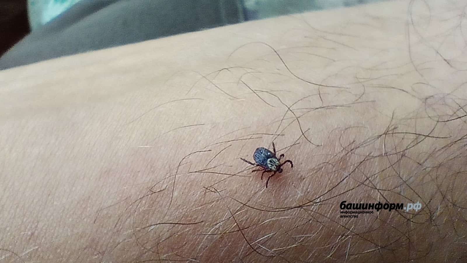 Талпандан  зыян күреүселәр күп