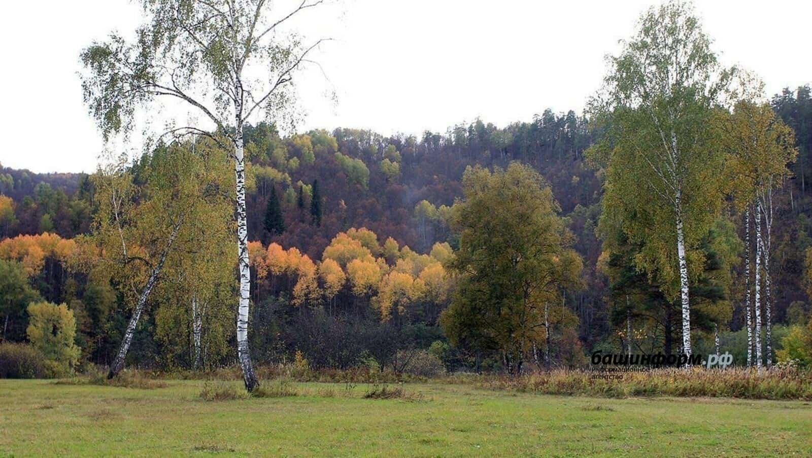Янғынға ҡаршы  махсус тәртип  бөтөрөлдө
