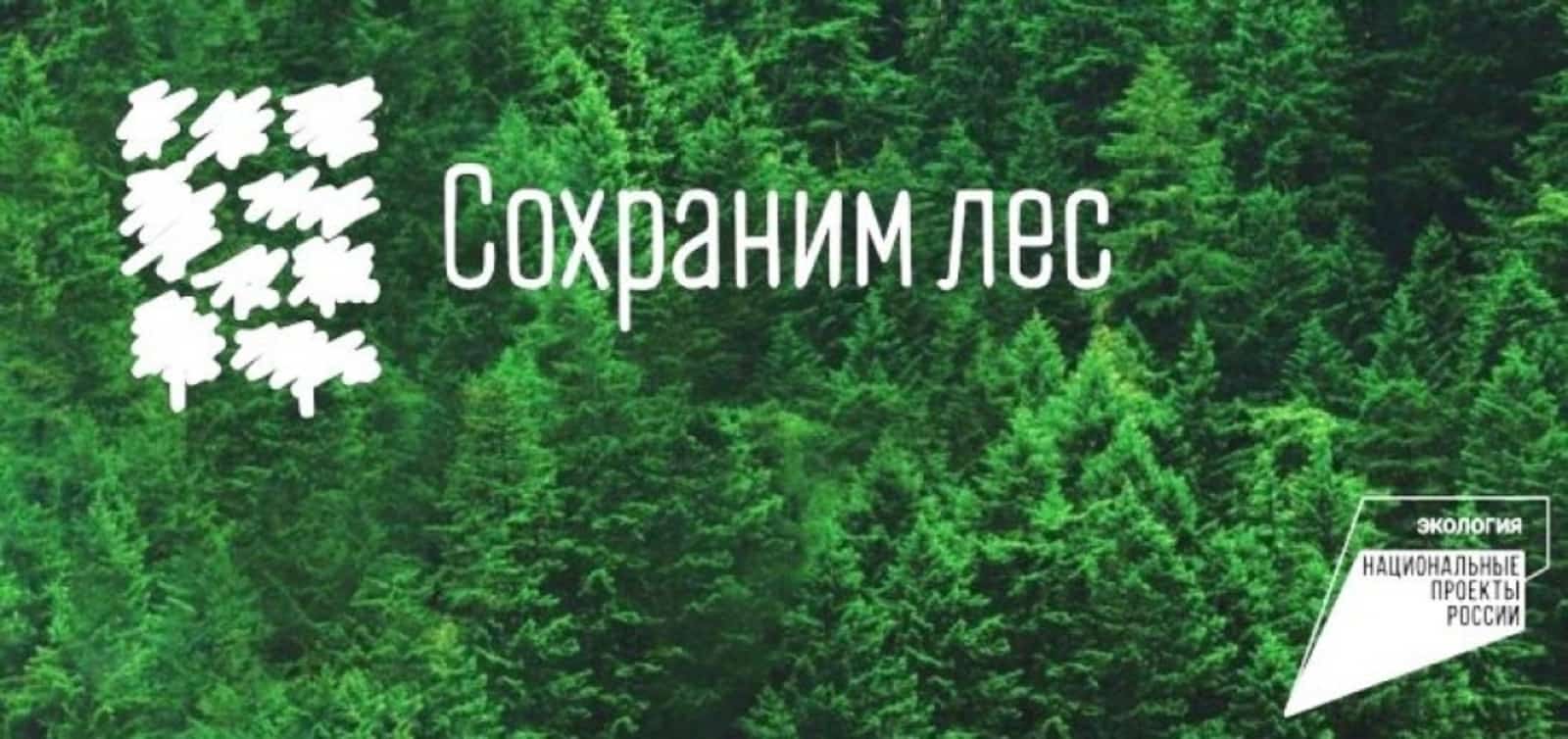 Башҡортостан урманды һаҡлау  акцияһына  ҡушыла