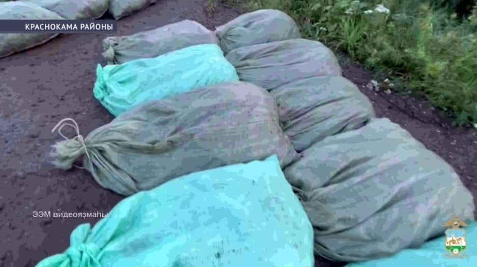 Краснокама районында законһыҙ ҡыҫала тотоусы 48 йәшлек ир ҡулға алынған