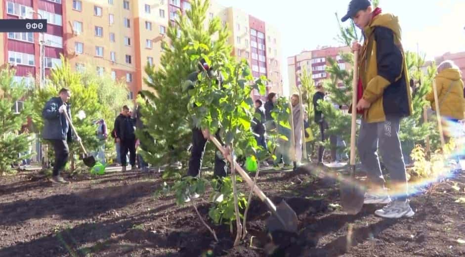 Өфөлә Рәсәйҙең бөтә педагогик университеттары исемен йөрөтәсәк йүкәләр ултыртылды