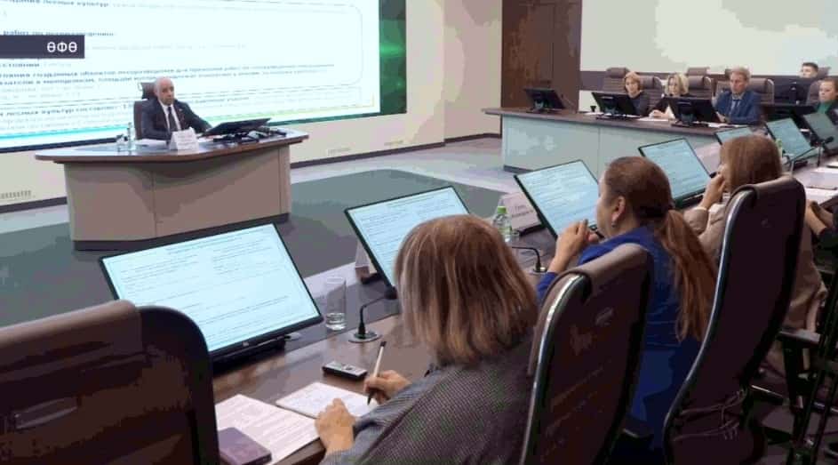 Өфөлә ҡырҡылған урмандар урынына яңы үҫентеләр ултыртыла