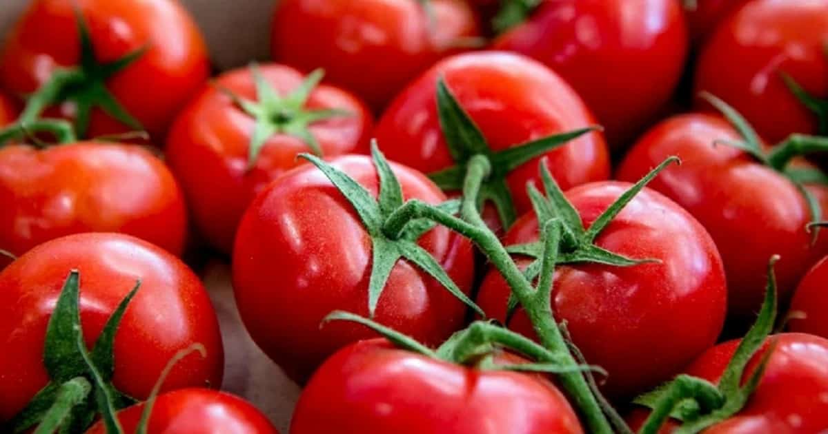 Республикала йәшелсә-емеш импорты артҡан