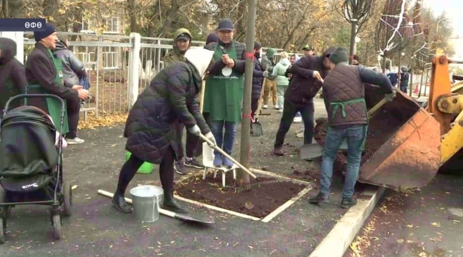Өфөнө йәшелләндереү акцияһы сиктәрендә бөгөн Кольская урамында экологик өмә үтте