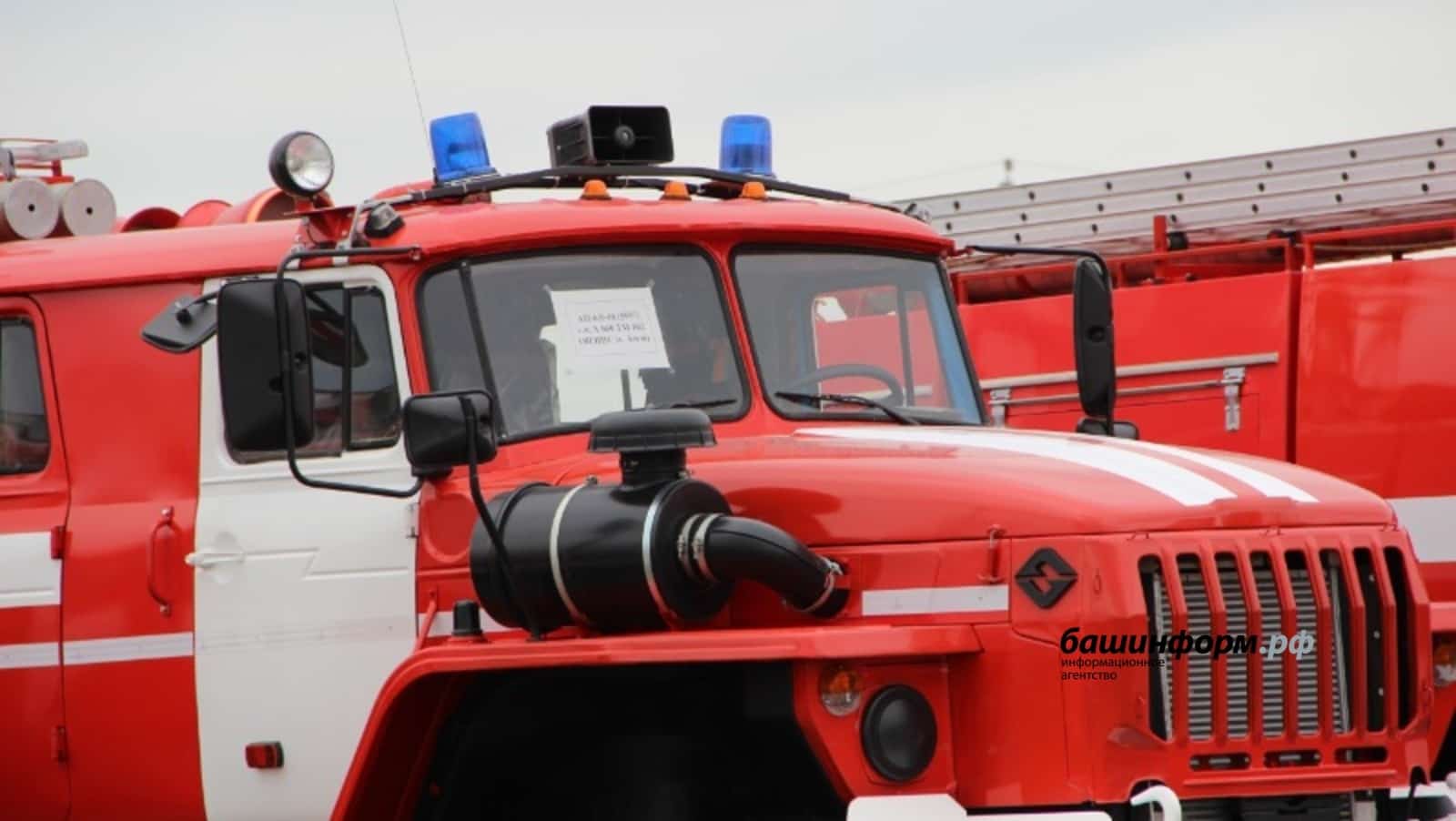 Урмандарҙа өҫтәмә видеокүҙәтеү комплекстары ҡуйыла