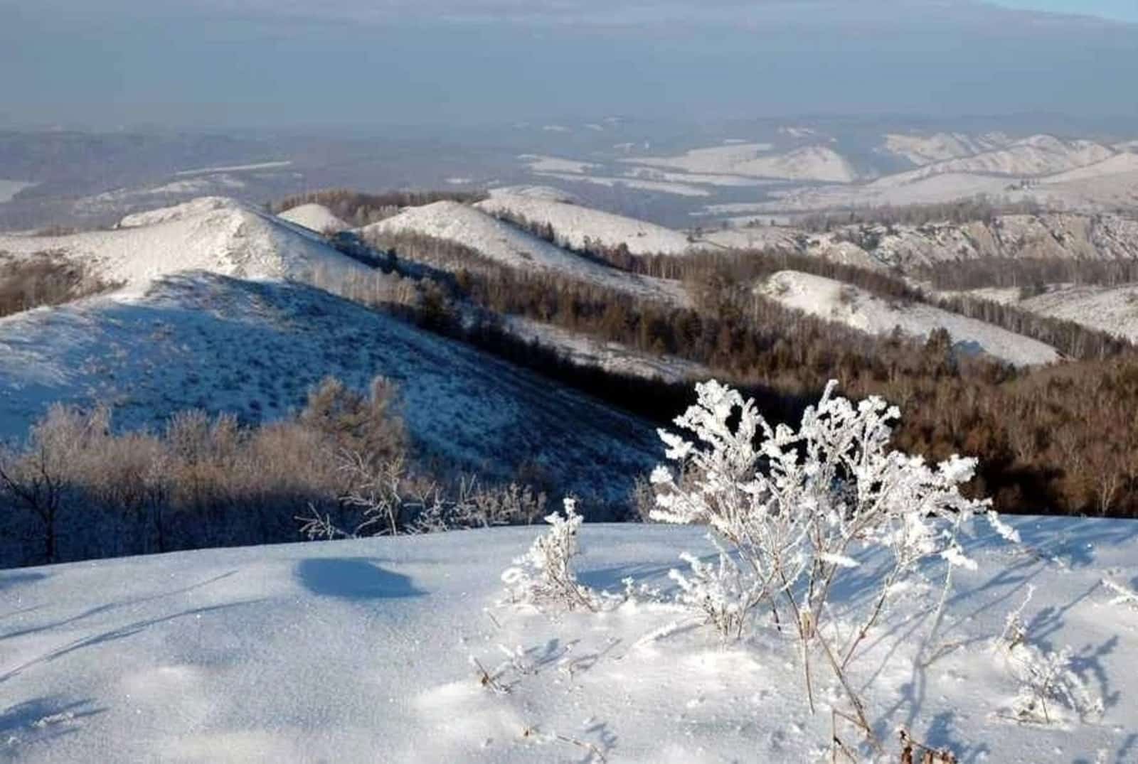 "Ирәмәл" һәм "Мораҙым тарлауығы" парктарының һаҡланған биләмә сиктәре аныҡланды