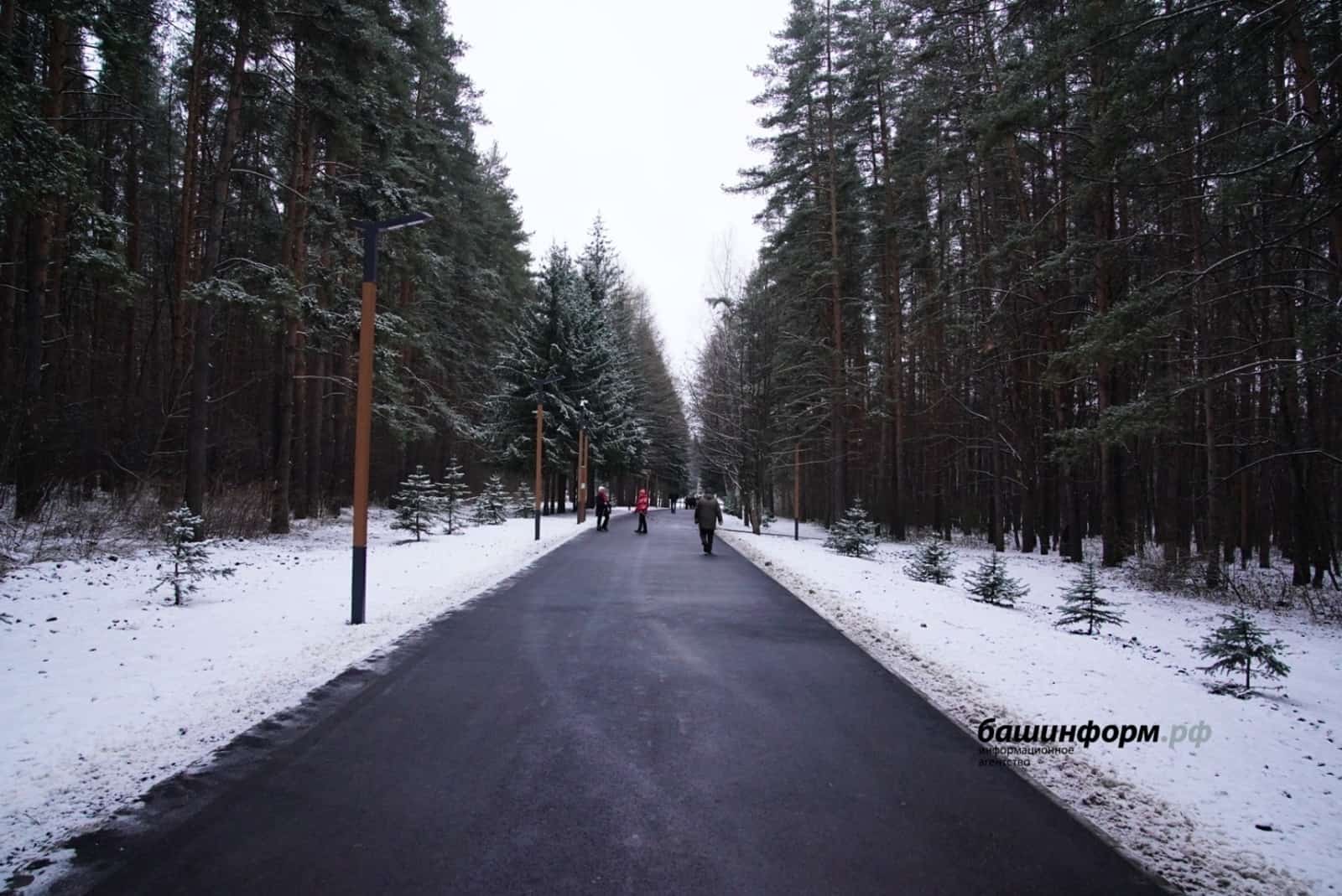 Өфөләге Урмансылар паркында донъя халыҡтары кухняһы асыла