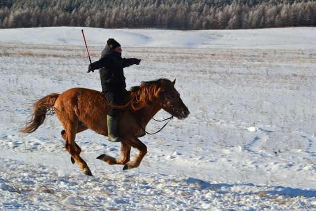Баймаҡта ат спорты ярыштары үтте