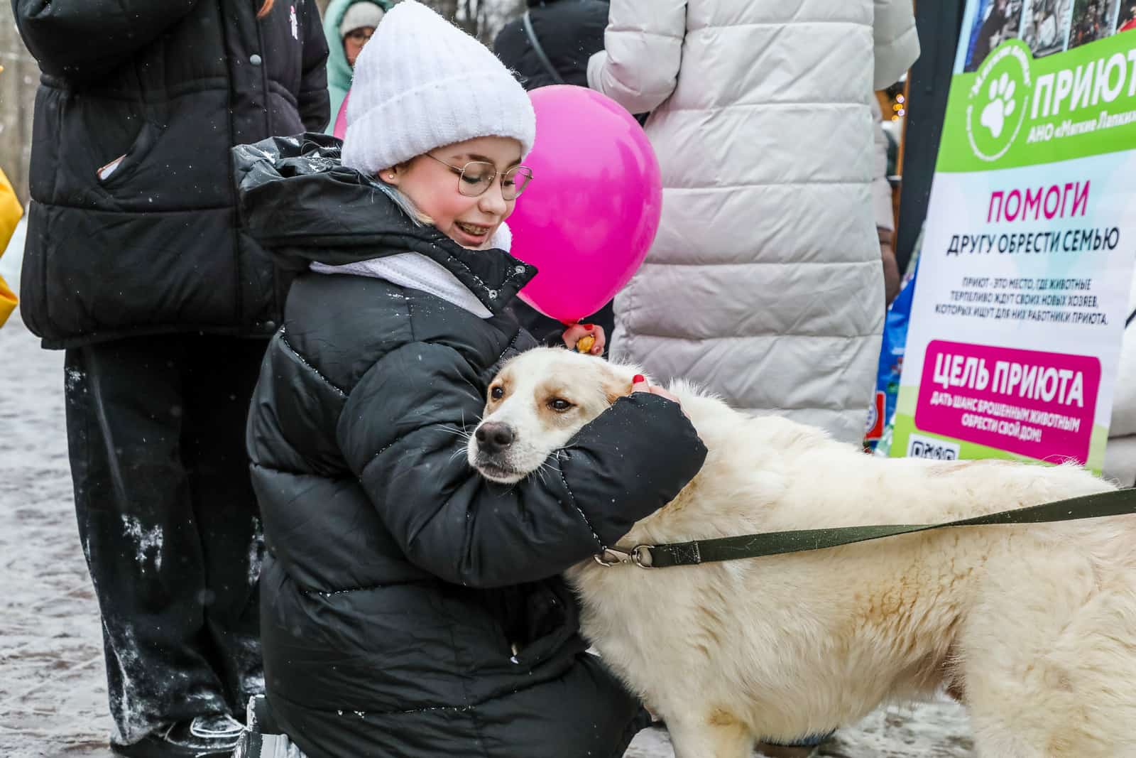 Өфөлә хужаһыҙ хайуандарға ярҙам буйынса акция уҙғарыла