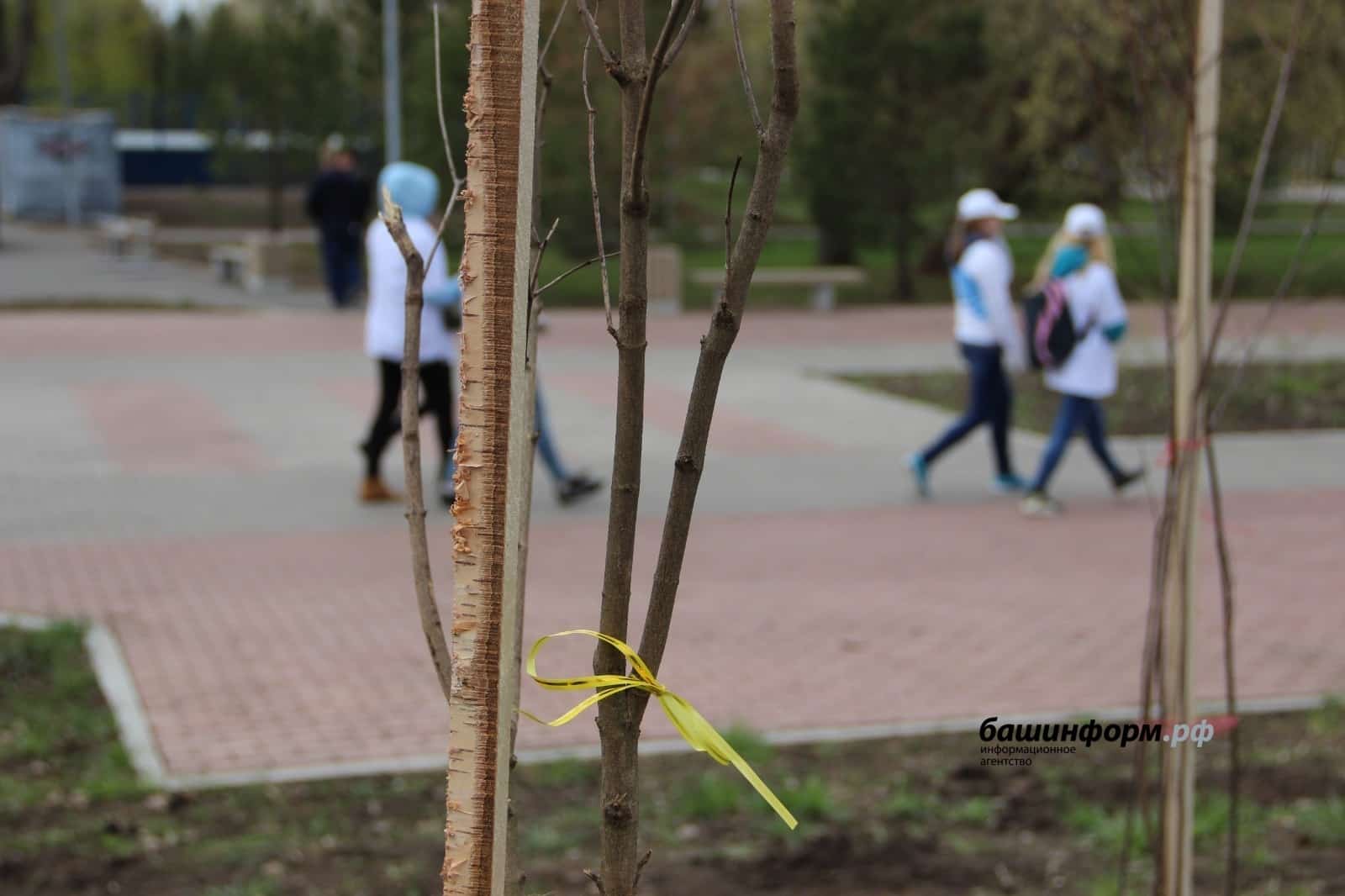 Башҡортостан ҡала һәм райондарында "Хәтер баҡсаһы" ултыртыла