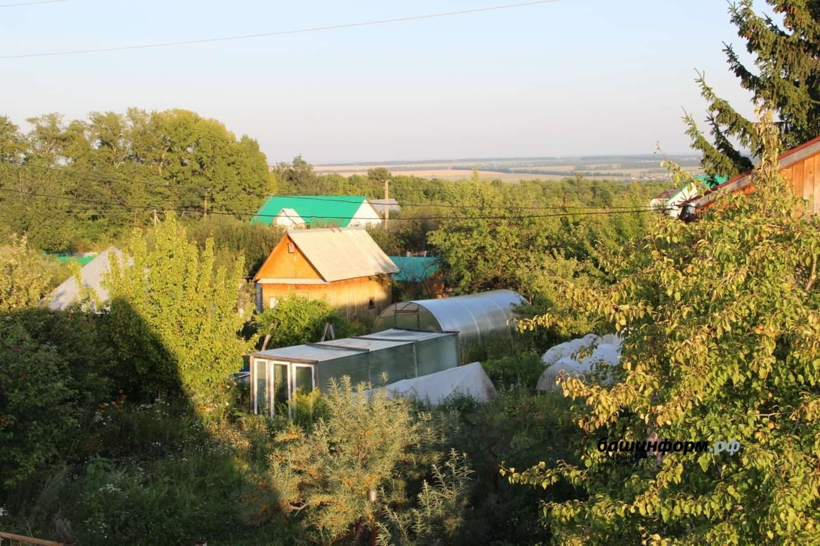 Баҡсасылыҡ ширҡәттәренә ярҙам буласаҡ
