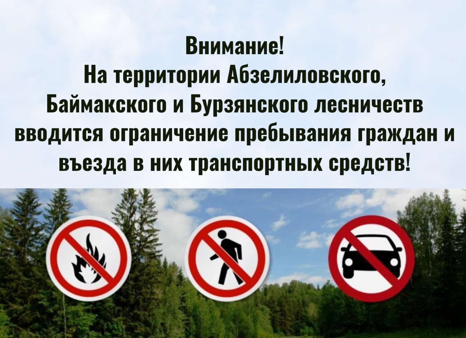 Урал аръяғы урмандарына инеү тыйыла