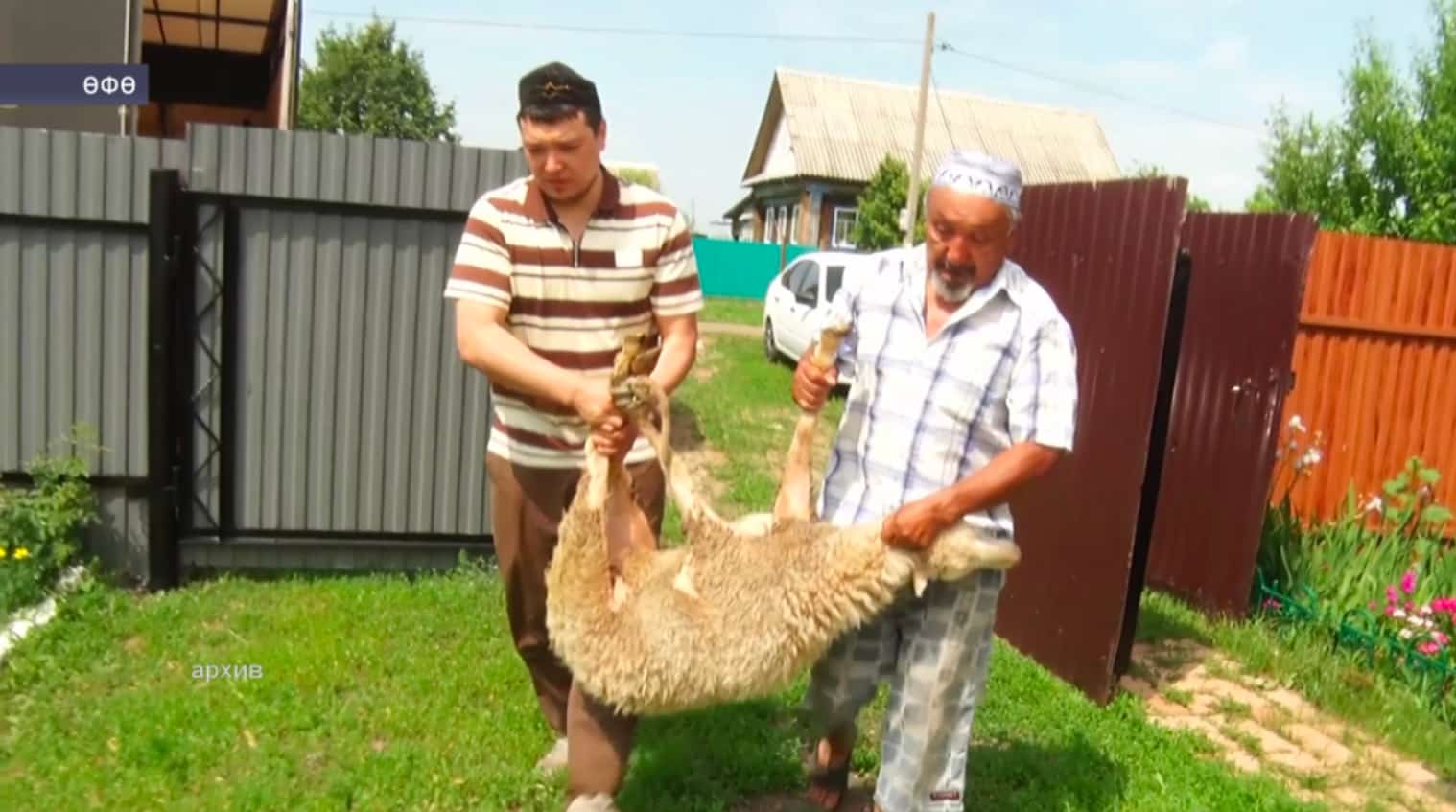 Башҡортостан халҡы Ҡорбан ғәйетенә әҙерләнә