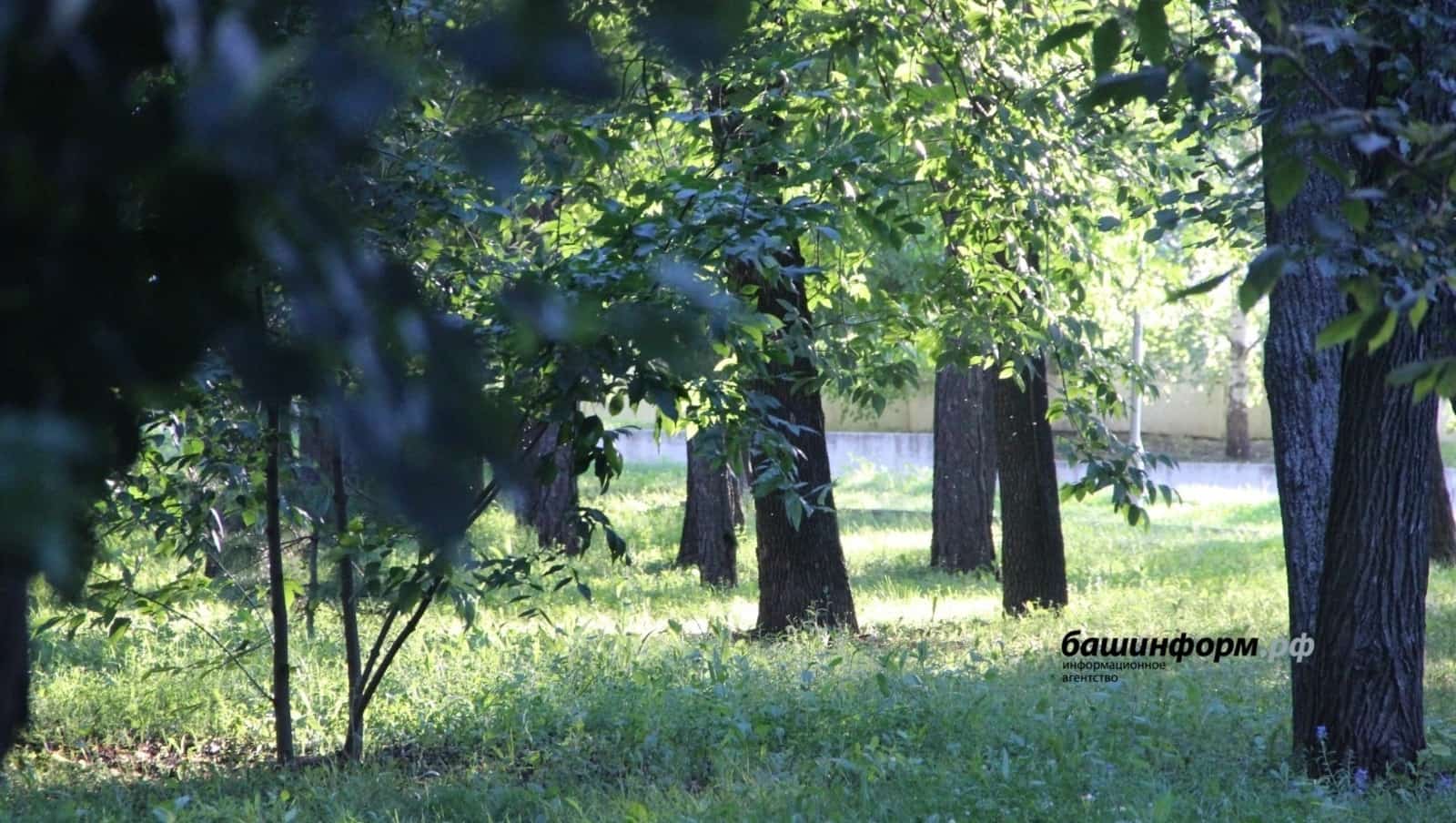Республикала талпандарҙың әүҙемлеге һаҡлана