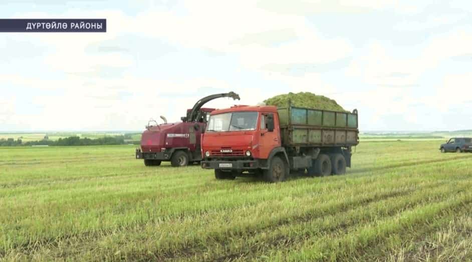 Башҡортостанда 56 мең тонна бесән әҙерләнгән