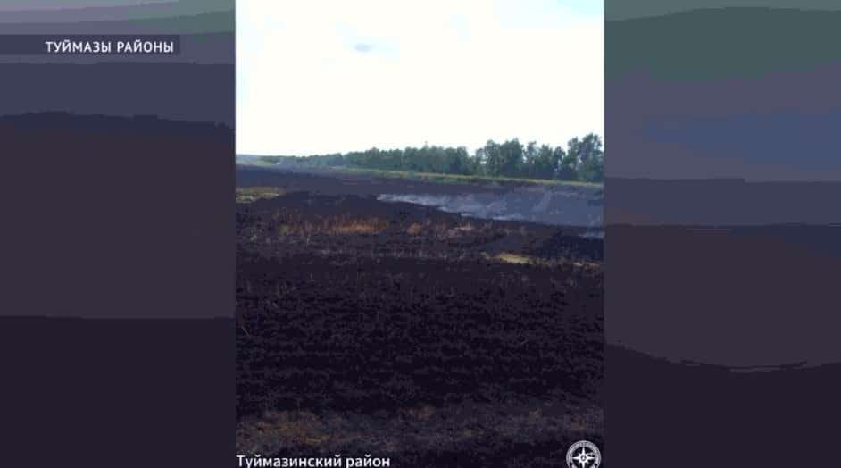 Туймазы районында ҡоро үлән янып киткән