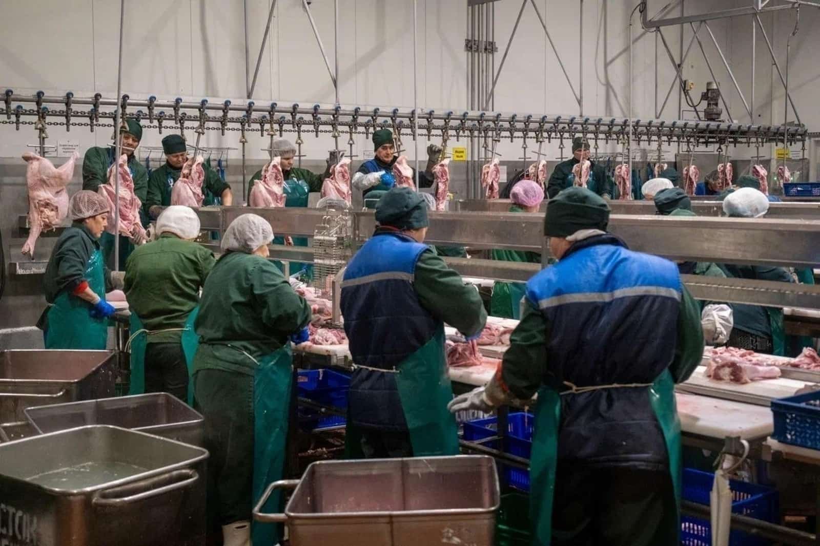 Башҡортостандан 18  тонна күркә ите Әзербайжанға оҙатылды