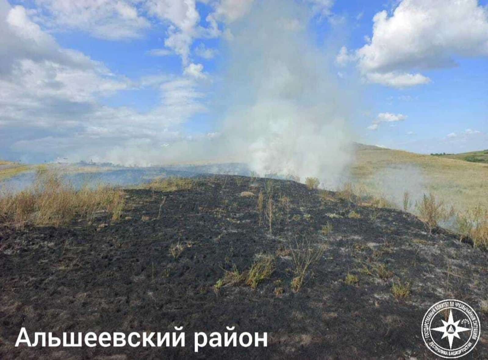 Республикала һуңғы тәүлектә урман янғындары теркәлмәгән