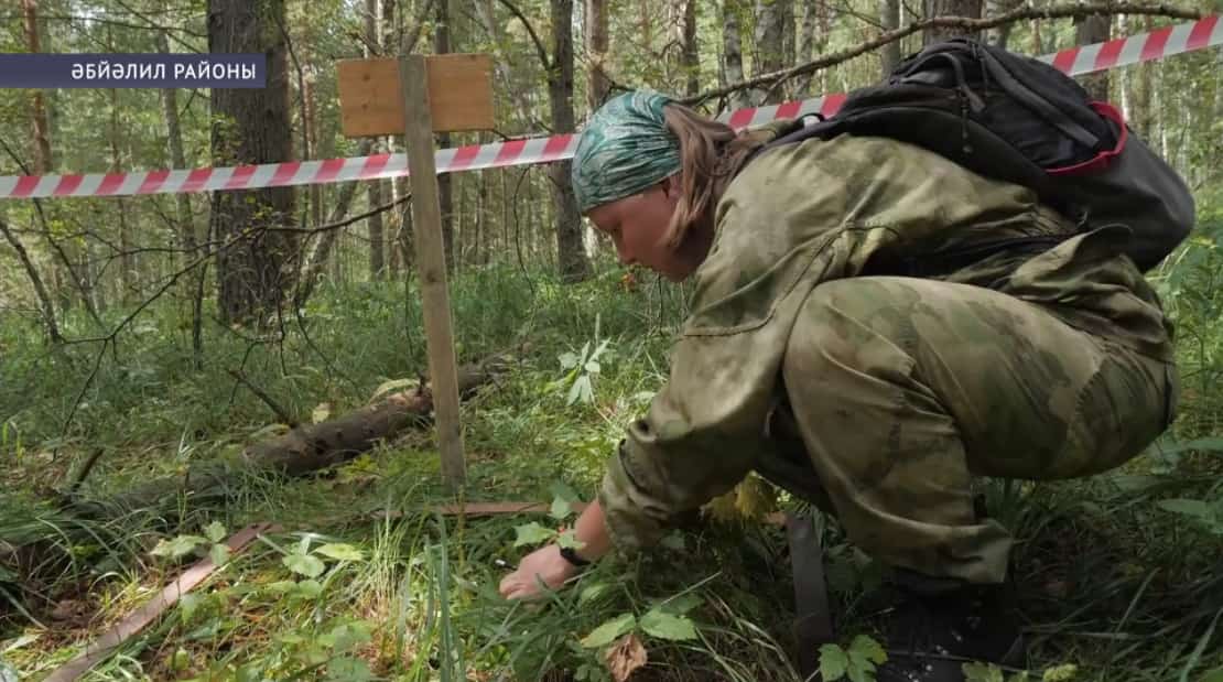 Башҡортостан ғалимдары «Салауат» мәғдән ятҡылығы биләмәһенең флора һәм фаунаһын тикшерә
