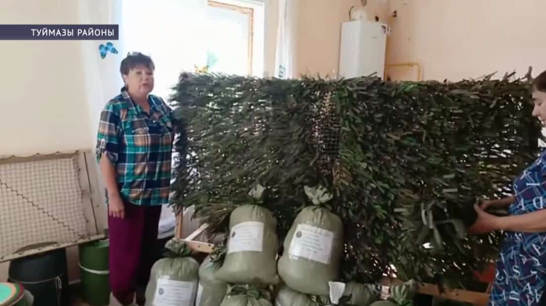 Республикала МХО-ға ярҙам итеү буйынса ирекмәндәр төркөмдәре һәр ауыл һәм ҡалала ойошторола