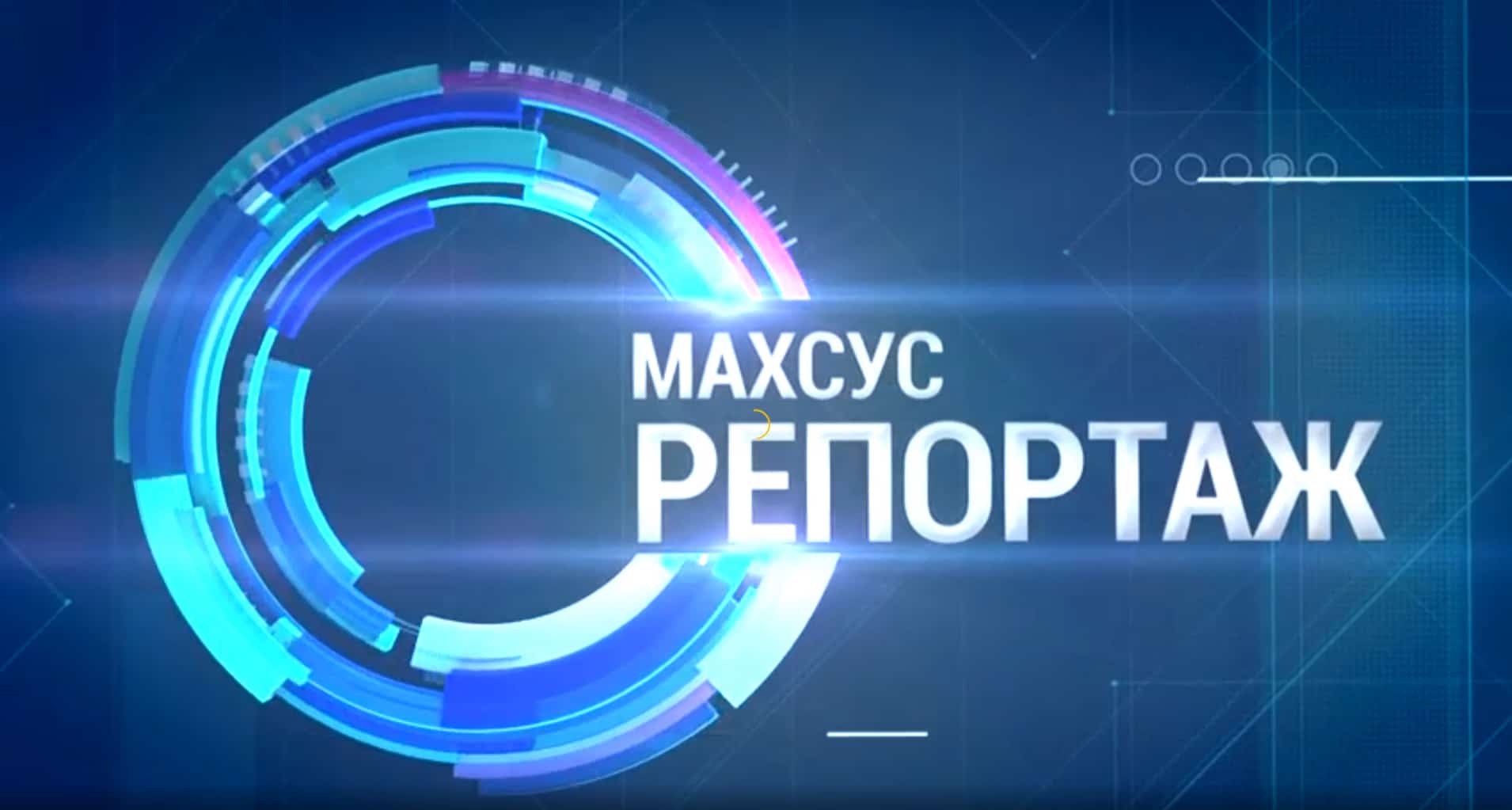 Последние из пастухов: куда уходит древняя профессия