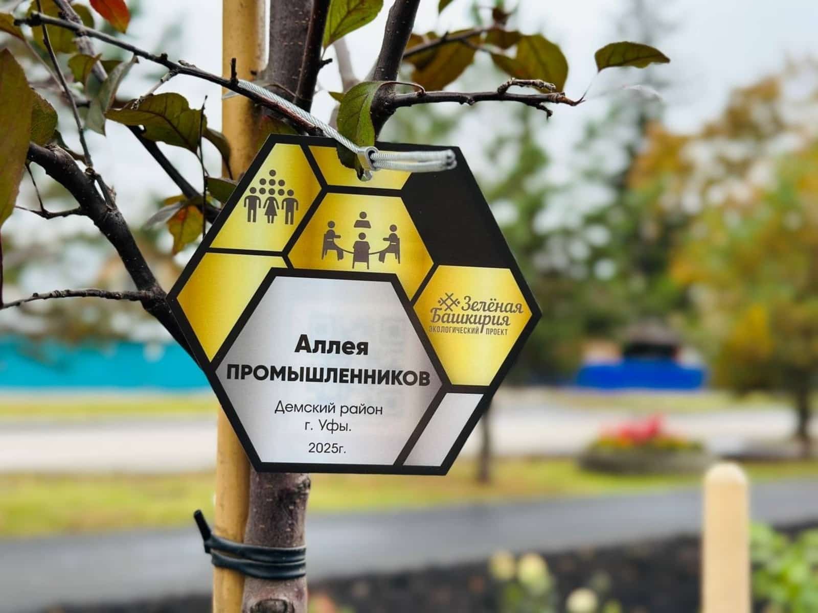 "Йәшел Башҡортостан" акцияһы барышында меңдән ашыу аллея барлыҡҡа килгән