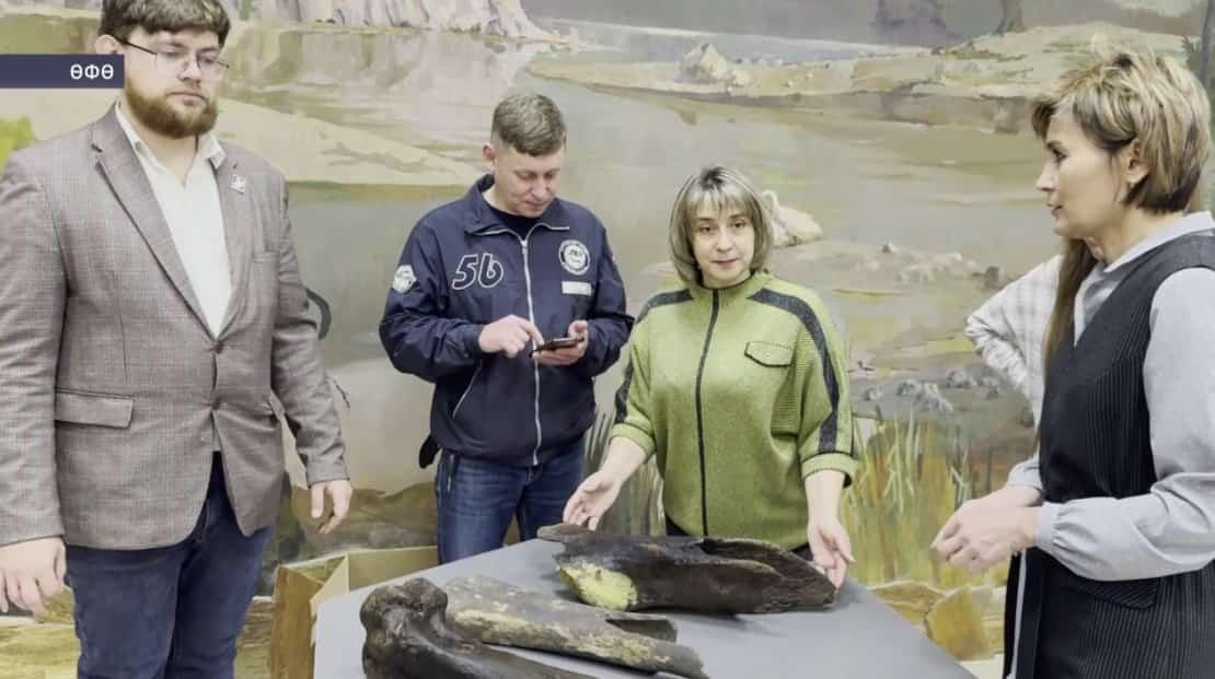 Өфө фән һәм технологиялар университеты музейы мамонт һәм мөгөҙморон һөйәктәре менән тулыланды