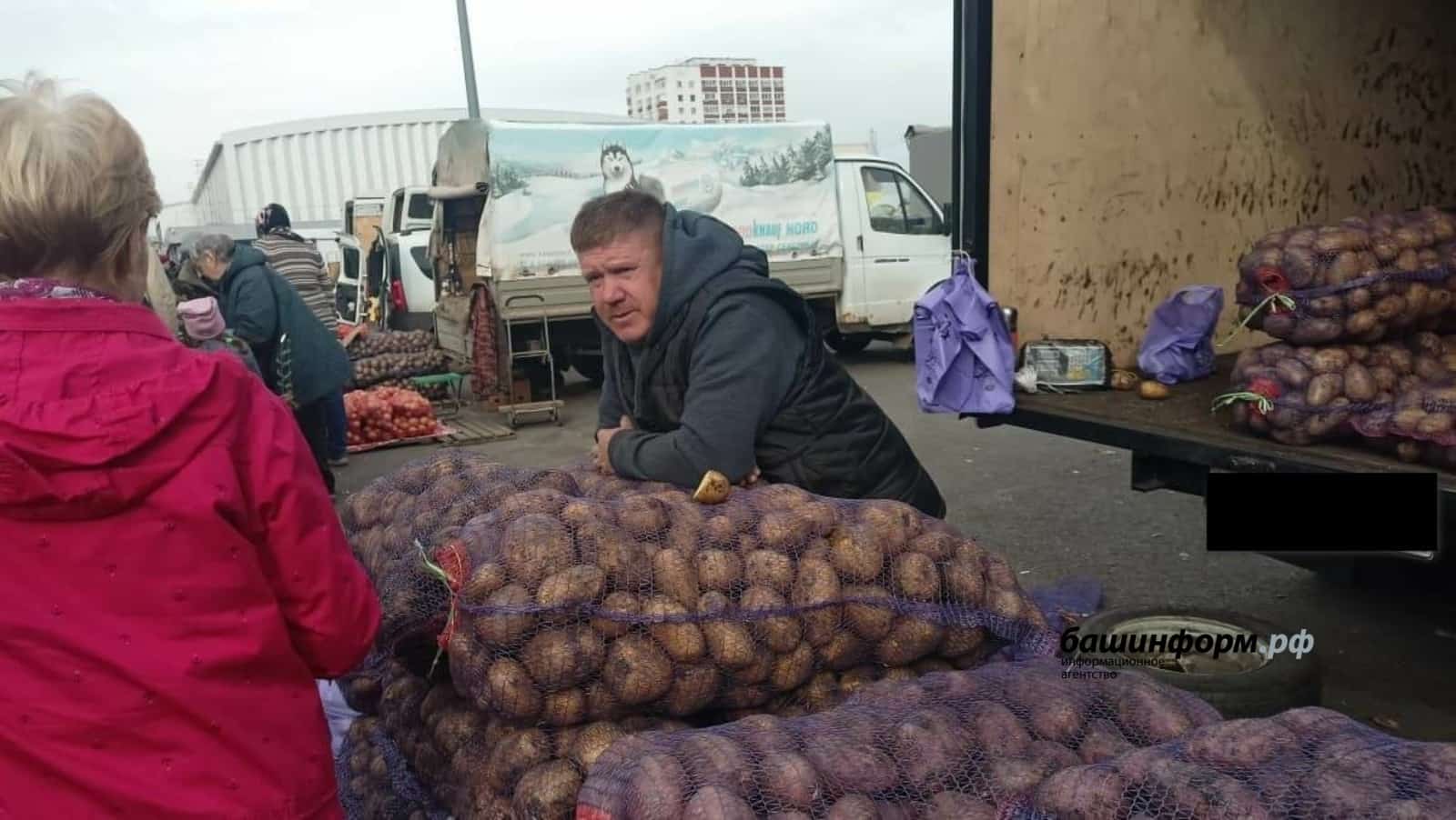 Республикала ауыл хужалығы йәрминкәләре 5 көн дауам итә