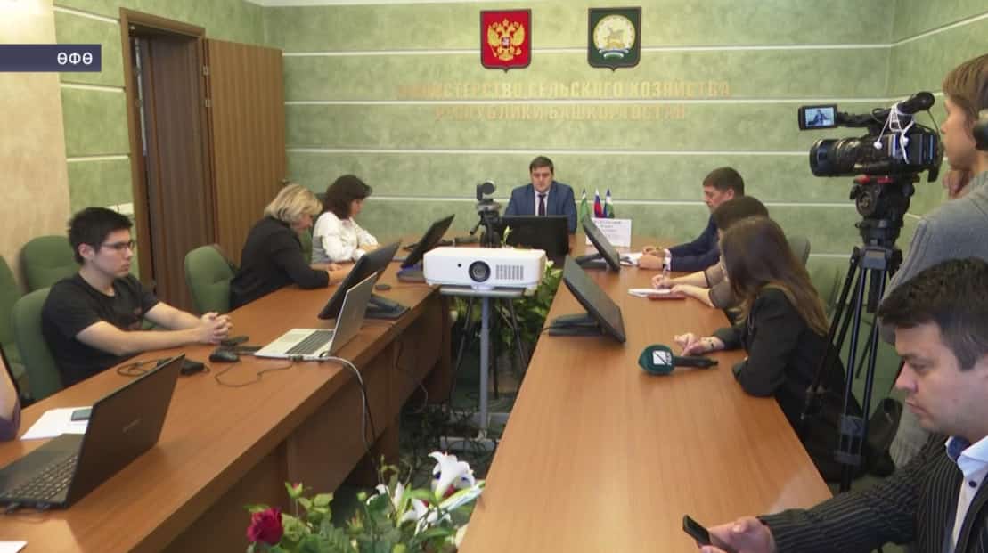 Башҡортостан майлы культуралар буйынса яңы рекорд ҡуйҙы