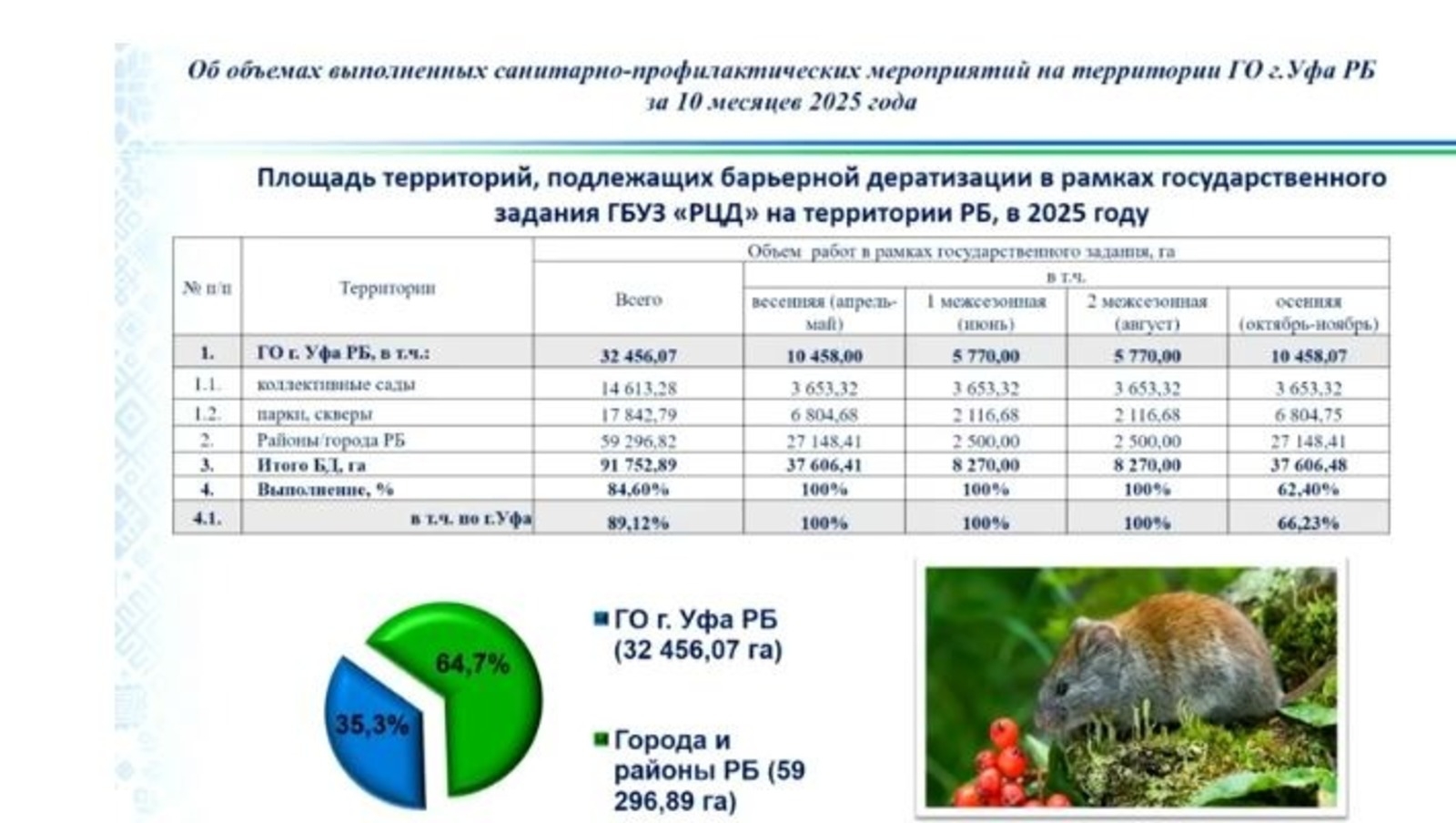 Өфөлә  биләмәләр сысҡан-ҡомаҡтарға ҡаршы препараттар менән эшкәртелә