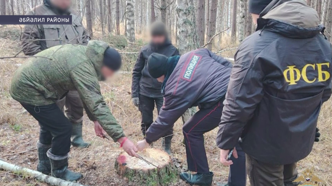 Әбйәлил районында законһыҙ ағас ҡырҡыу осрағы буйынса енәйәт эше ҡуҙғатылған