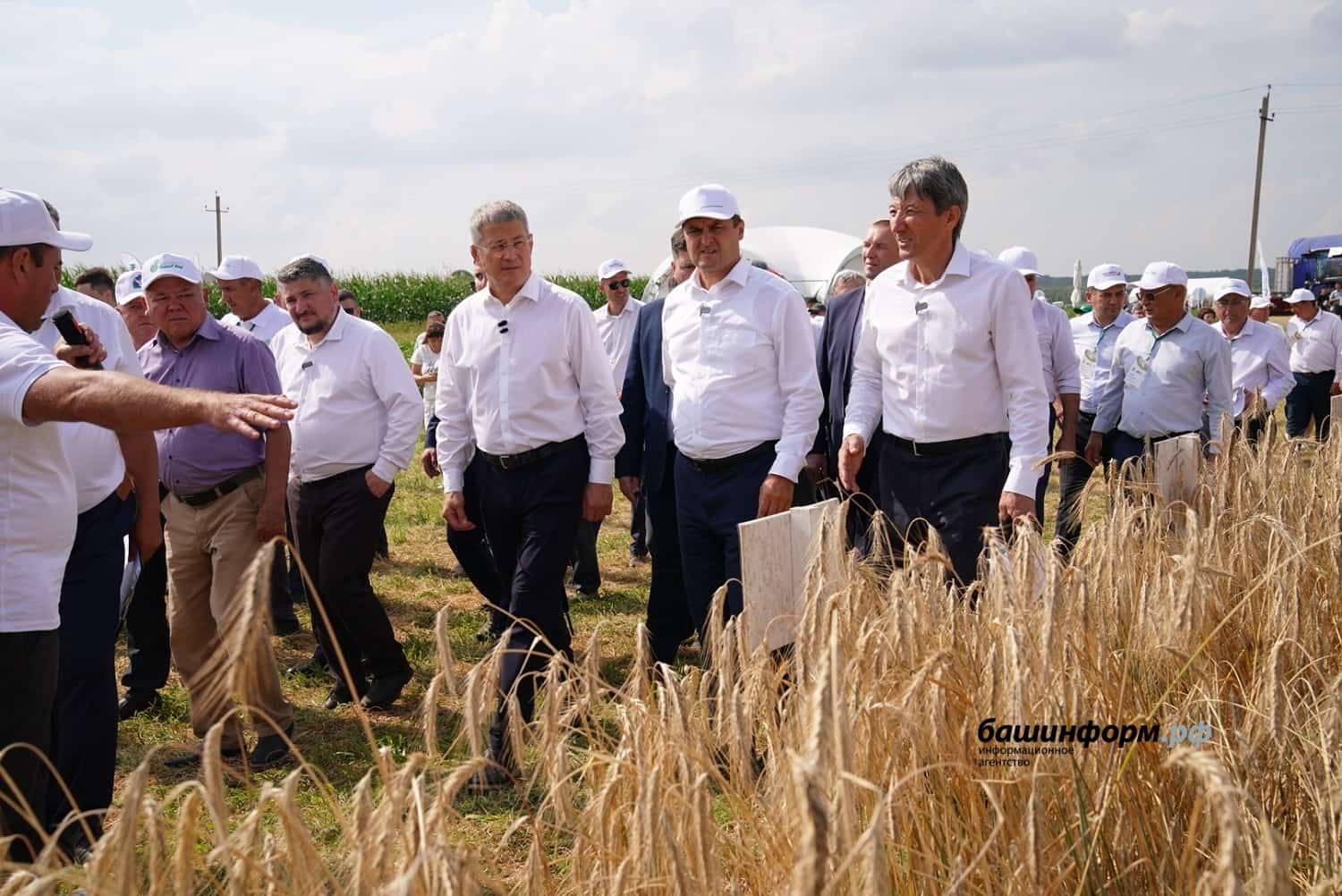 Республикала ғалимдары баҫыусылыҡты үҫтереүгә күп көс һала